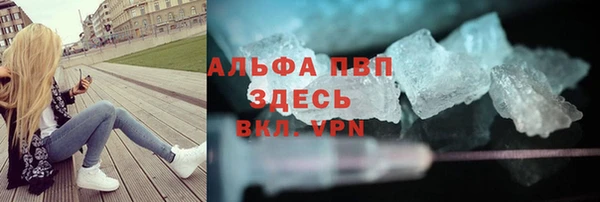сатива Кукмор