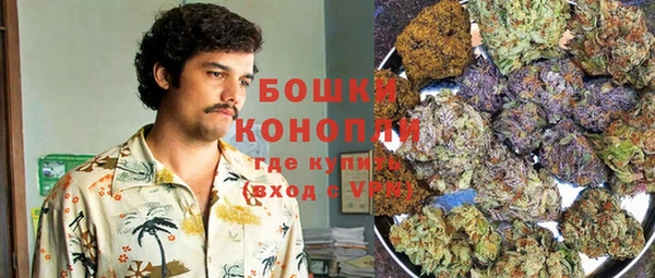 сатива Кукмор